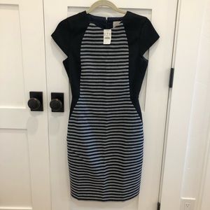 J Crew striped Dress